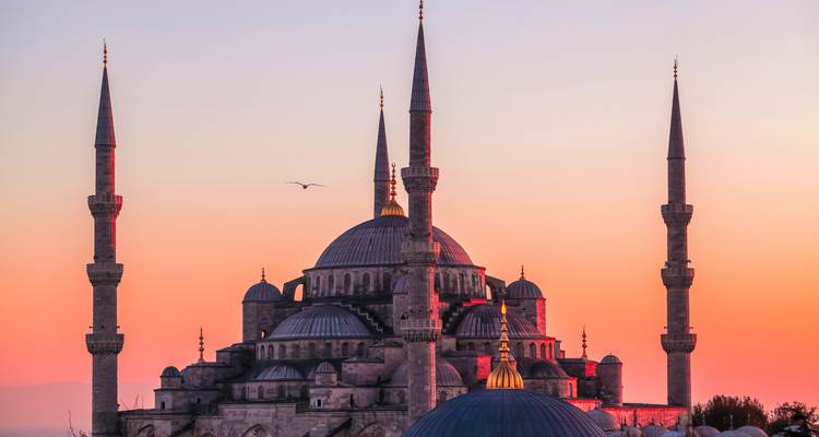 Iconic Blue Mosque silhouetted against a vivid orange-pink sunrise sky with a flying bird.