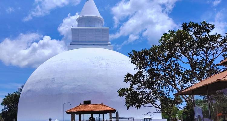 Un immense dôme de stupa blanc comme neige s'élevant sur un ciel bleu éclatant avec un cadre d'arbres feuillus.