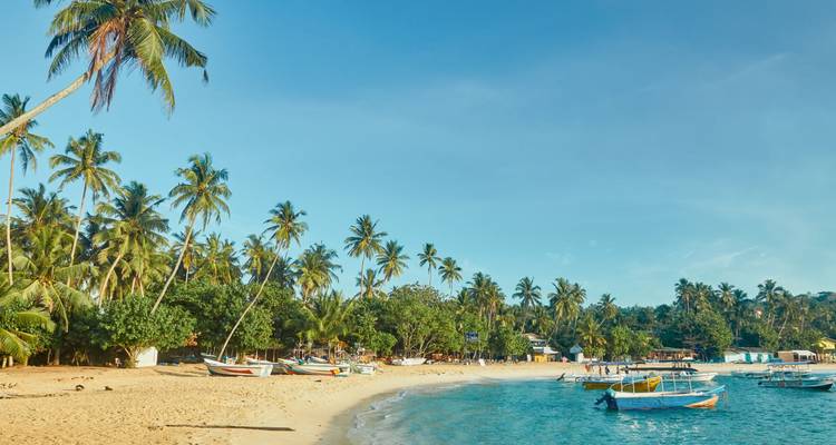 Plage tropicale avec des bateaux de pêche amarrés, des palmiers penchés et une mer turquoise douce sous un ciel dégagé.