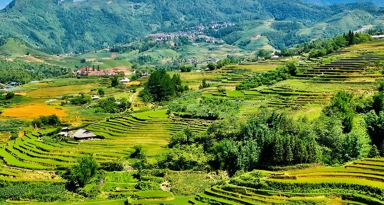 Expansive vista of layered green rice terraces under a backdrop of forested mountains.