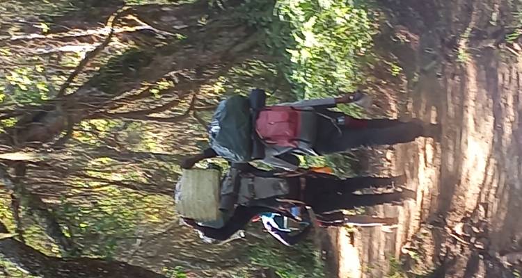 Les porteurs transportent de lourdes charges le long d'un sentier forestier étroit sur le Kilimandjaro.