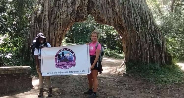 Deux randonneurs se tiennent devant une arche d'arbre géante en tenant une bannière de visite dans un environnement de forêt luxuriante.