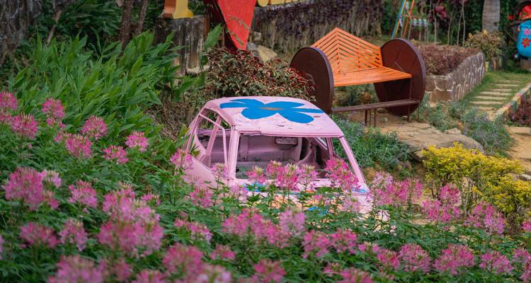 Scène de jardin fantaisiste avec une coquille de voiture remplie de fleurs roses, des fleurs éclatantes et un banc coloré.