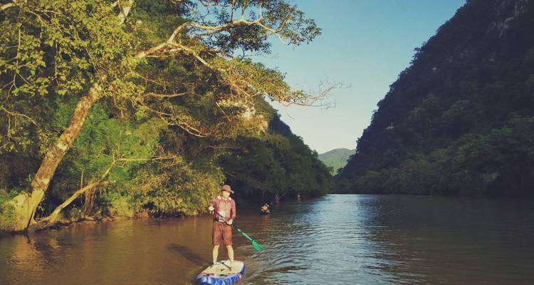 Un practicante de paddleboard de pie navega por un cañón de río sereno sombreado por árboles frondosos y acantilados verdes y empinados.