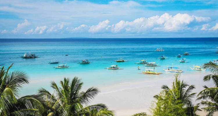 Des dizaines de petits bateaux colorés flottent sur une mer turquoise calme, observés depuis un rivage bordé de palmiers.