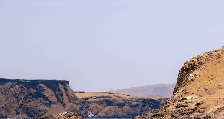 Les falaises côtières arides et les affleurements rocheux sous un ciel pâle et dégagé dans la Réserve nationale de Paracas.