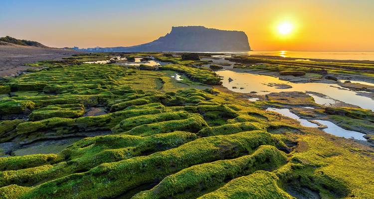 La marée basse révèle des terrasses de roche volcanique couverte de mousse s'étendant vers un lever de soleil resplendissant derrière une île aux falaises escarpées.