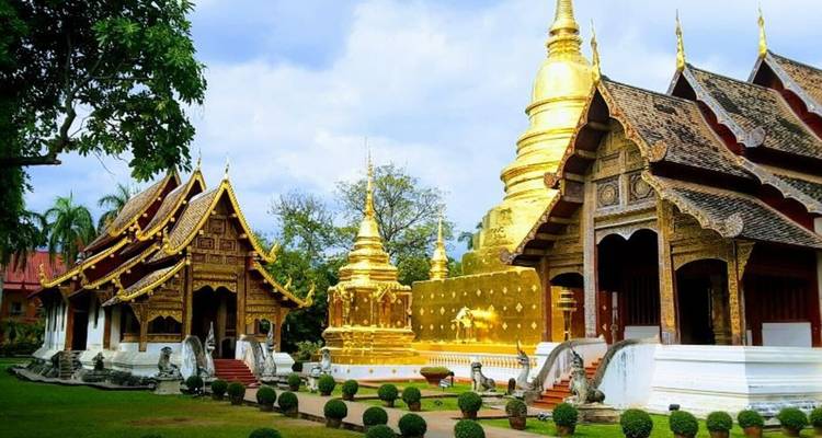 Goldene Spitze und verzierte Holzhallen eines historischen Tempels in Chiang Mai, umgeben von gepflegten Gärten.