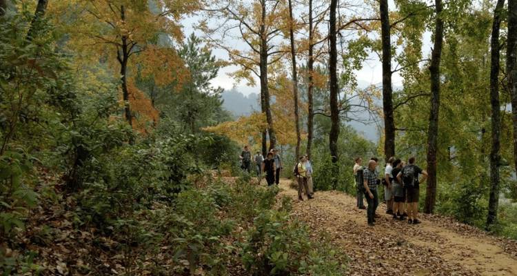 Grupo de senderismo reunido en un sendero forestal lleno de hojas con colores otoñales por todas partes.