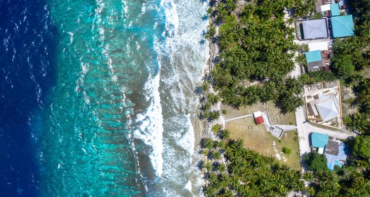 Vue aérienne prise par drone d'un récif corallien rencontrant un rivage luxuriant bordé de palmiers aux Maldives.