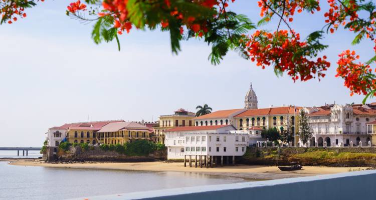 Colonial waterfront of Panama City’s Casco Viejo with flowering tree framing the scene.