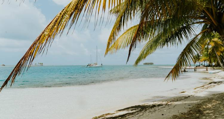 Turquoise lagoon bordered by white sand and palm leaves with a sailboat anchored offshore.