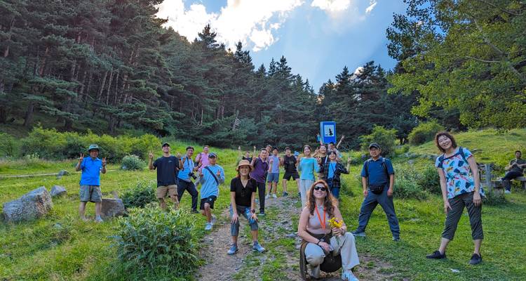 Grand groupe de randonnée réuni sur un sentier forestier herbeux sous de grands pins et un ciel bleu