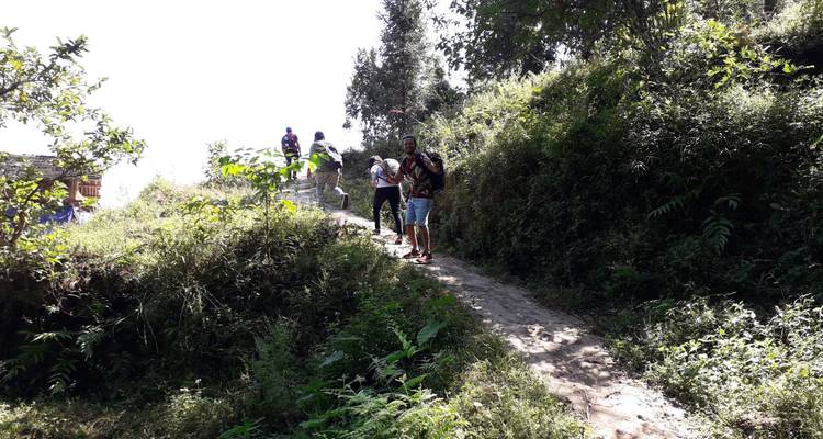 Trekking en grupo pequeño subiendo por un sendero de tierra a través de una vegetación densa bajo un cielo blanco brillante