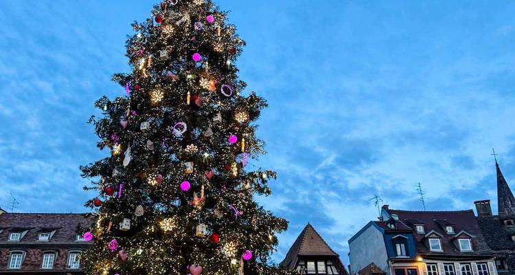 Grand sapin de Noël scintillant d'ornements et de lumières dans une place de ville contre un ciel crépusculaire.