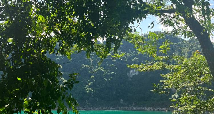 Lago turquesa enmarcado por frondosas ramas de árboles y colinas forestales escarpadas.