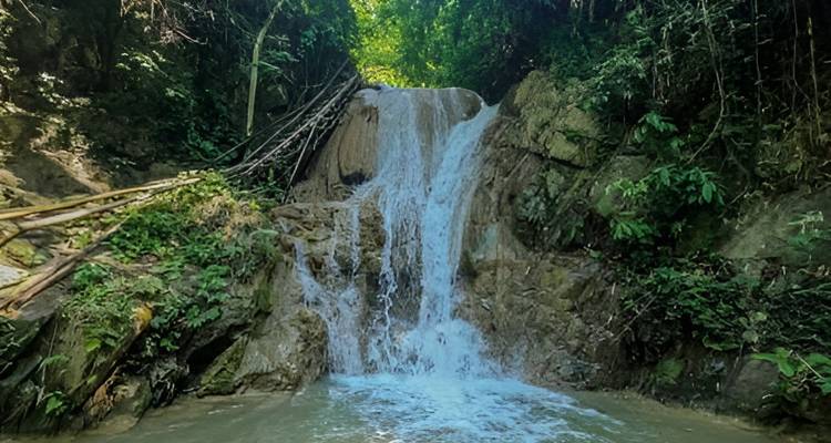 Une petite cascade de jungle dévale les rochers dans un bassin cristallin entouré d'une végétation dense.