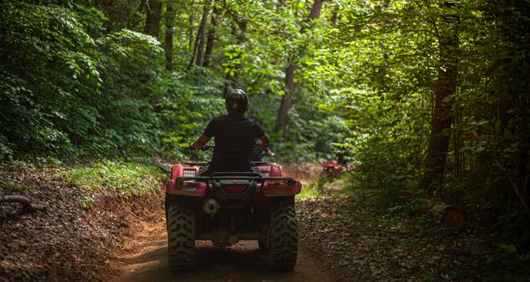 Un cavalier conduisant un VTT rouge sur un sentier de jungle boueux entouré d'une végétation dense.