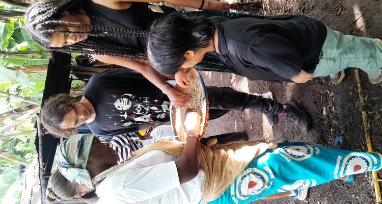 Visitors and a local woman examine grains on a tray inside a tropical garden setting.