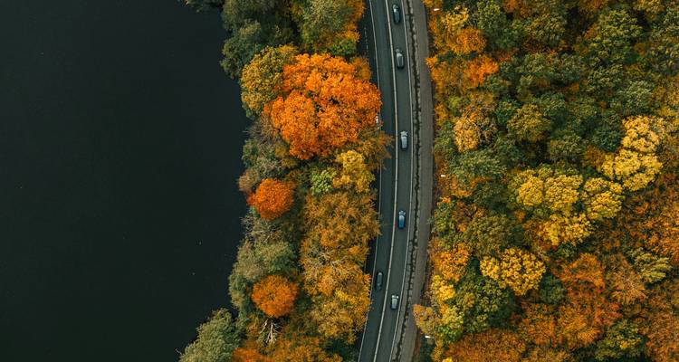 Aerial view of a winding road cutting through vivid autumn forest beside a dark lake