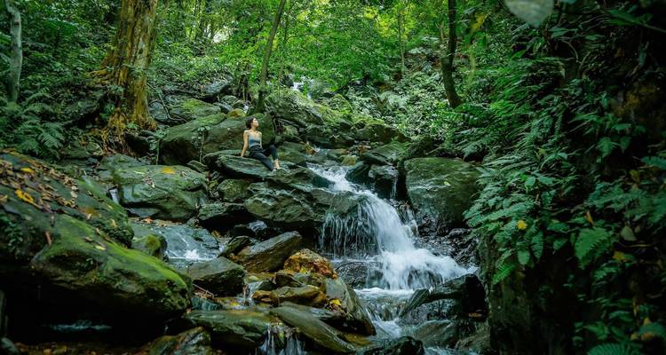 Reiziger zittend op mosachtige rotsen naast een bruisende boswaterval omgeven door varens.