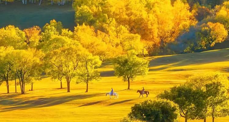 Deux cavaliers à cheval traversant un pré doré et ensoleillé entouré d'arbres aux couleurs automnales éclatantes.
