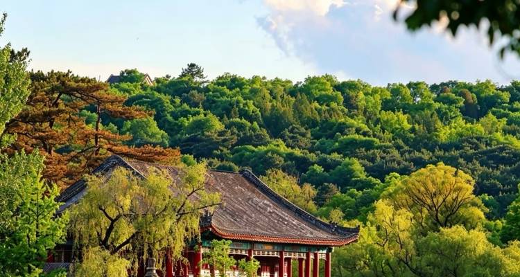 Toit de pavillon chinois traditionnel pointant au-dessus d'une dense forêt verte par une journée ensoleillée.