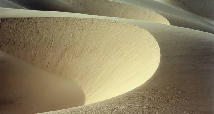 Artistic close-up of smooth, curving sand dune ridges with delicate wind-etched textures.