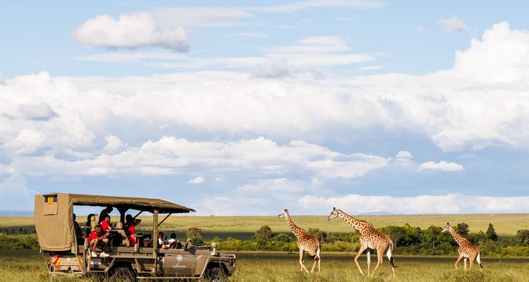 Vehículo abierto de safari con turistas observando cuatro jirafas caminando a través de una llanura de pastos abierta bajo un cielo dramático.