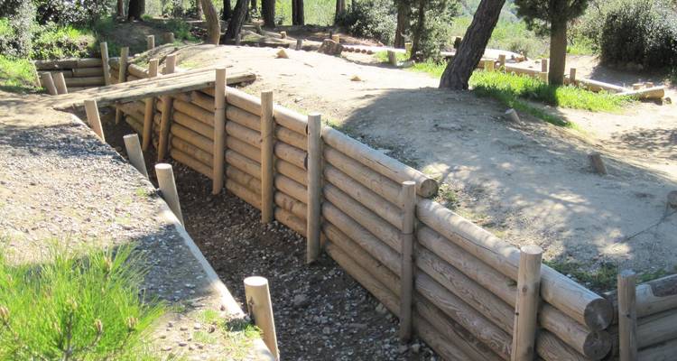 Sistema de trincheras de madera restaurado serpenteando a través de un claro de bosque polvoriento, parte de un sitio histórico de batalla.