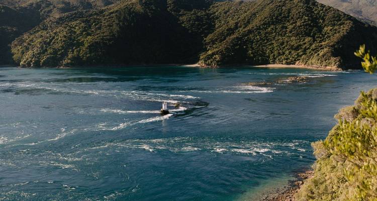 Corrientes de marea arremolinándose alrededor de una baliza de navegación en las aguas azul profundo del Sonido de Marlborough.
