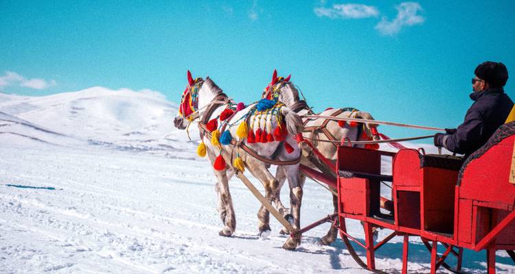 Traîneau tiré par des chevaux aux couleurs vives glissant sur une plaine enneigée sous un ciel bleu éclatant.