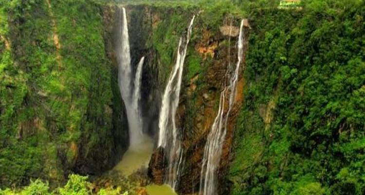 De multiples cours d'eau en cascade forment une chute d'eau spectaculaire au milieu d'une végétation dense de forêt tropicale.