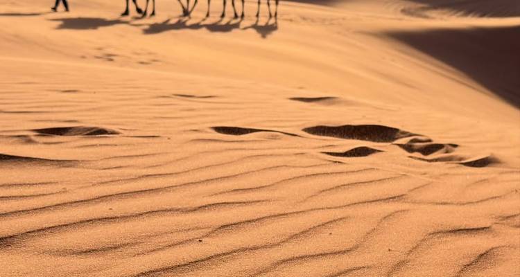Une caravane de chameaux au loin traverse de vastes dunes de sable orange avec des motifs ondulés au premier plan.