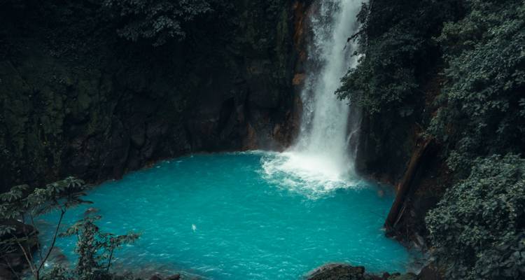Una impresionante cascada cayendo en una piscina de color turquesa brillante, rodeada de una densa jungla verde.