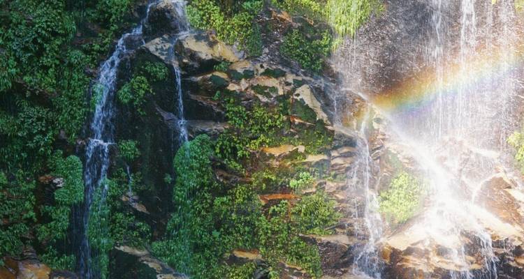 Gros plan d'une cascade de jungle se déversant sur des rochers avec un arc-en-ciel éclatant dans les embruns.