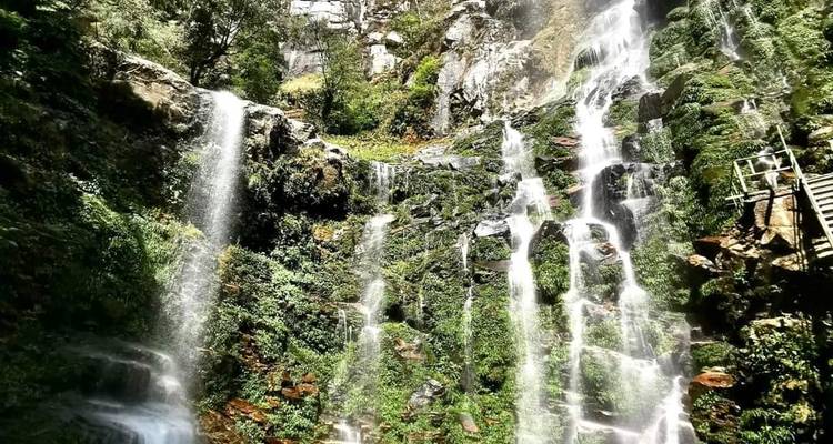 Cascade de chute d'eau multi-niveaux s'écoulant sur des falaises vertes et mousseuses dans une forêt de montagne luxuriante