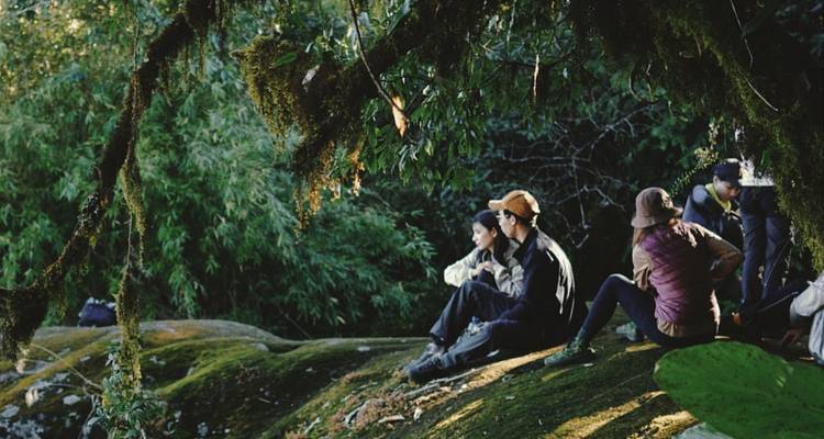 Des randonneurs portant des casquettes et des vêtements de plein air se reposant sur un rocher couvert de mousse sous le feuillage de la jungle