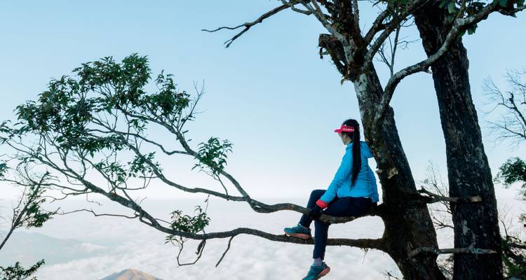 Femme randonneuse assise sur une branche d'arbre élevée au-dessus d'une couche de nuages