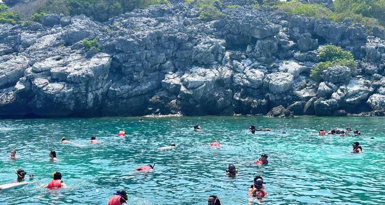 Des groupes de plongeurs avec tuba vêtus de gilets de sauvetage explorant les eaux turquoise cristallines à côté de falaises grises escarpées.