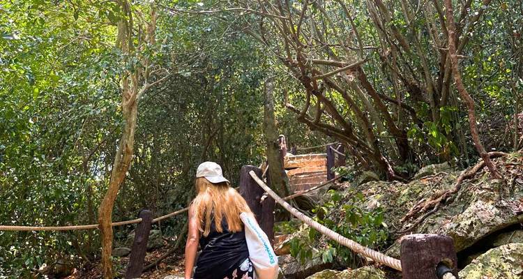 Randonneuse avec sac à dos montant des marches en bois à travers une forêt tropicale dense.