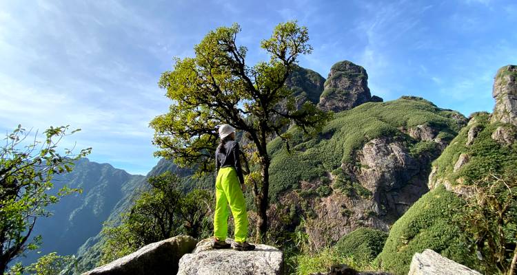 Un randonneur vêtu d'équipement de couleur vive se tient debout sur un rocher à côté d'un arbre, dominant des pics verts accidentés sous un ciel bleu clair.