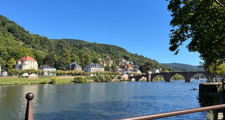 Vue dégagée sur le Neckar vers les maisons colorées de la colline et le vieux pont de pierre de Heidelberg sous un ciel bleu.