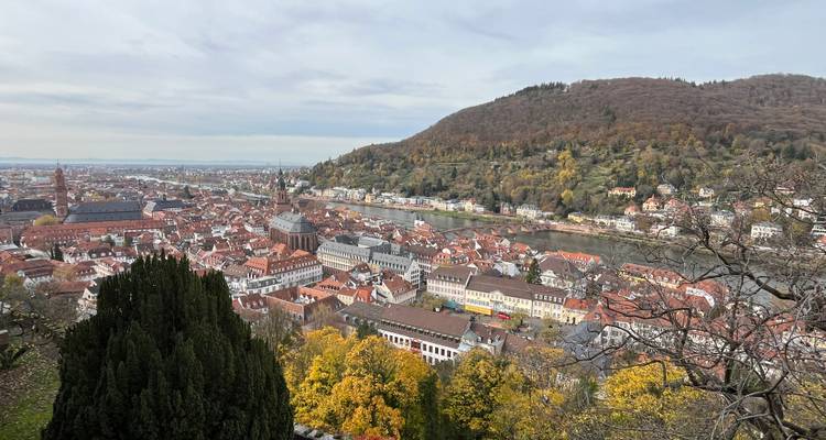 Vue panoramique depuis la colline surplombant la vieille ville aux toits rouges de Heidelberg, le fleuve et les arbres d'automne.
