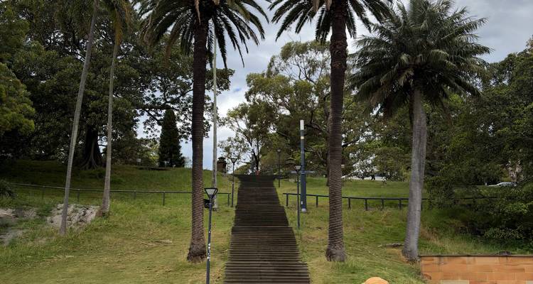 Una larga escalera de madera bordeada por altas palmeras sube por una colina cubierta de pasto bajo cielos grises.