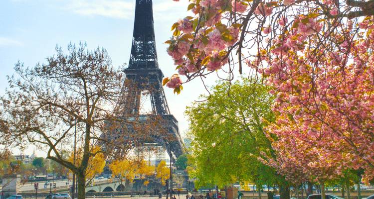 Les fleurs printanières et les arbres en bourgeonnement encadrent la Tour Eiffel par une journée ensoleillée.