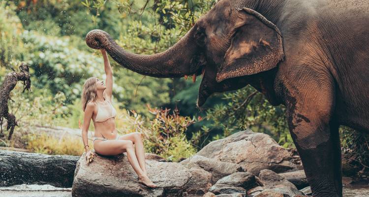 A woman in swimwear sits on a riverside rock reaching toward an elephant spraying water.