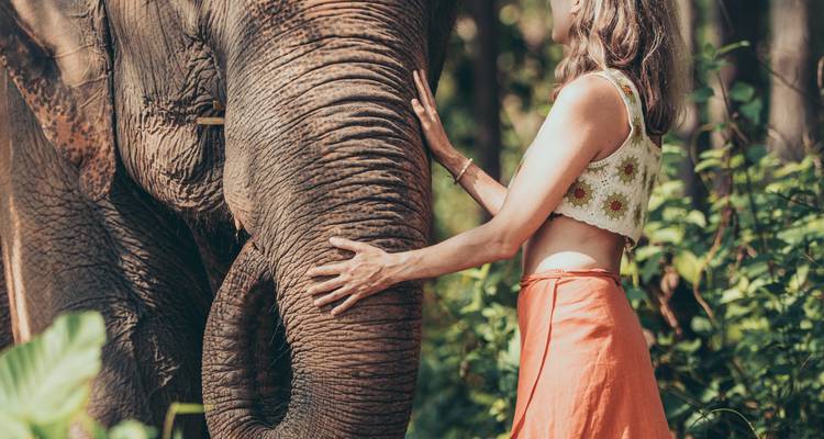 A woman places both hands on an elephant’s trunk amid dense jungle vegetation.