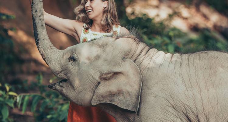 A woman guides a playful baby elephant raising its trunk in a wooded area.