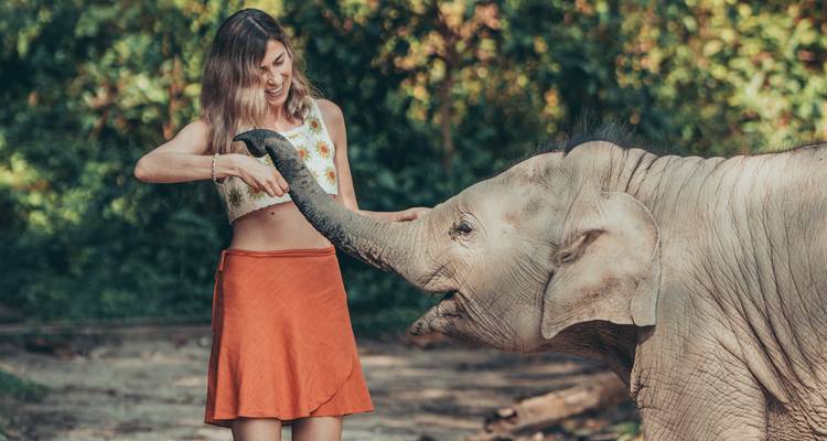 A woman feeds a baby elephant by holding its trunk in a forest clearing.